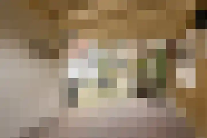 Fazantenveld 23 Cuijk thumbnail 24