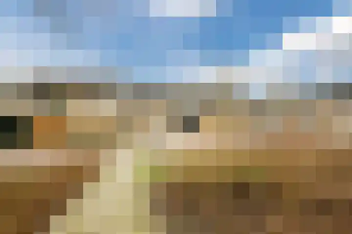 Fazantenveld 23 Cuijk thumbnail 25