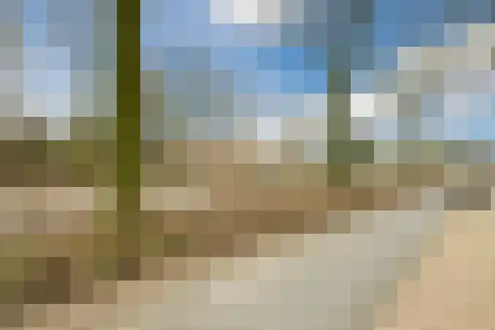 Fazantenveld 23 Cuijk thumbnail 27