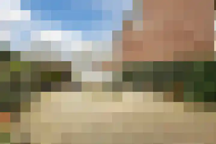 Fazantenveld 23 Cuijk foto 3