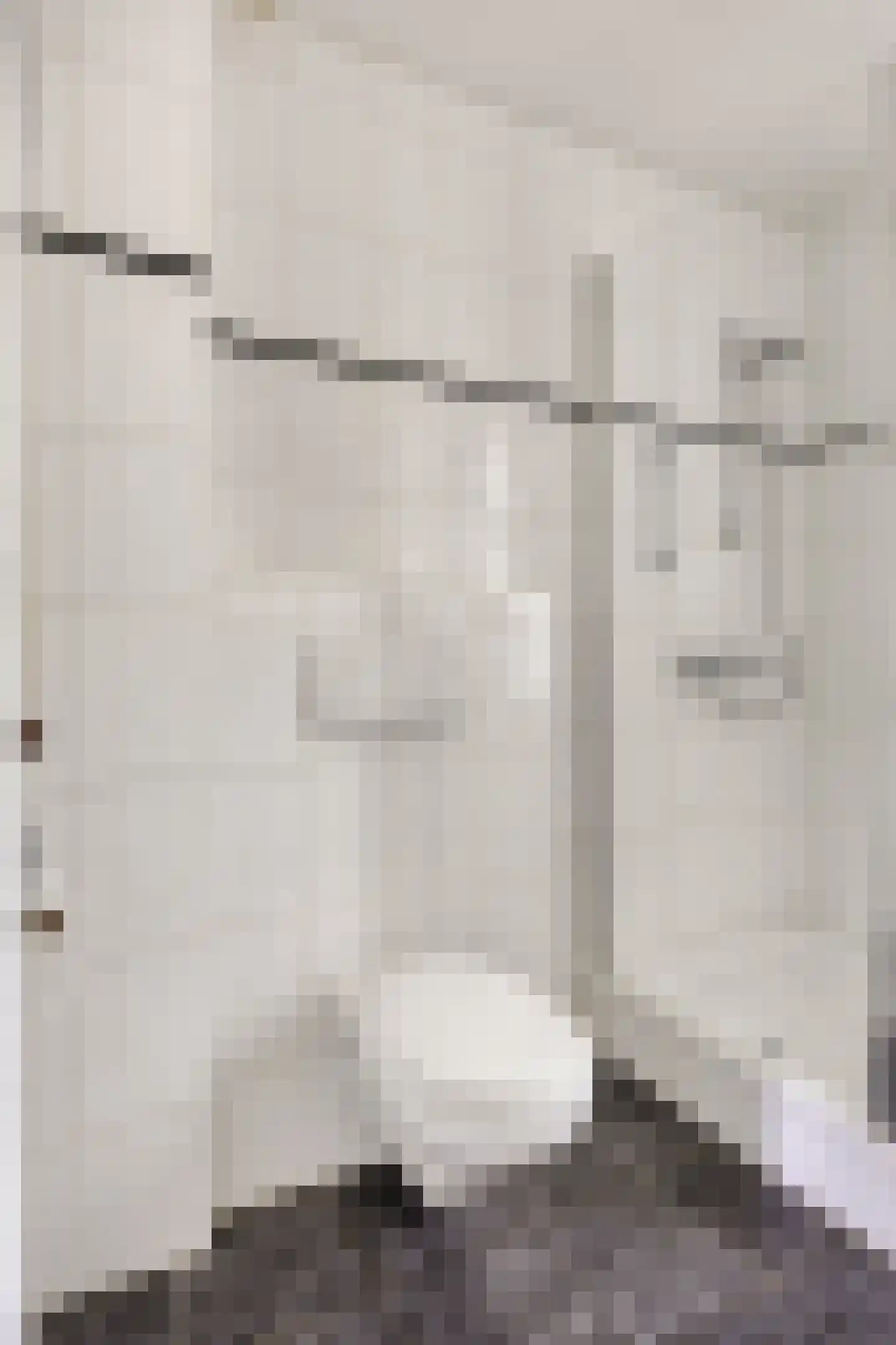 Fazantenveld 5 Cuijk thumbnail 14
