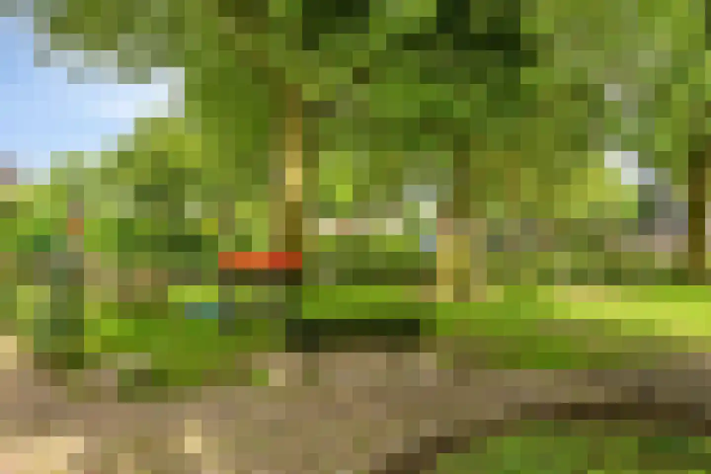 Fazantenveld 5 Cuijk thumbnail 22
