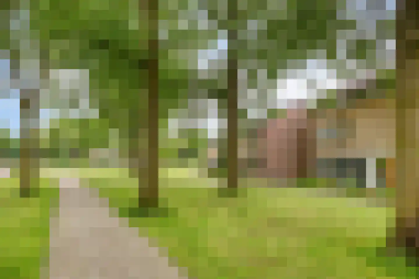 Fazantenveld 5 Cuijk thumbnail 23