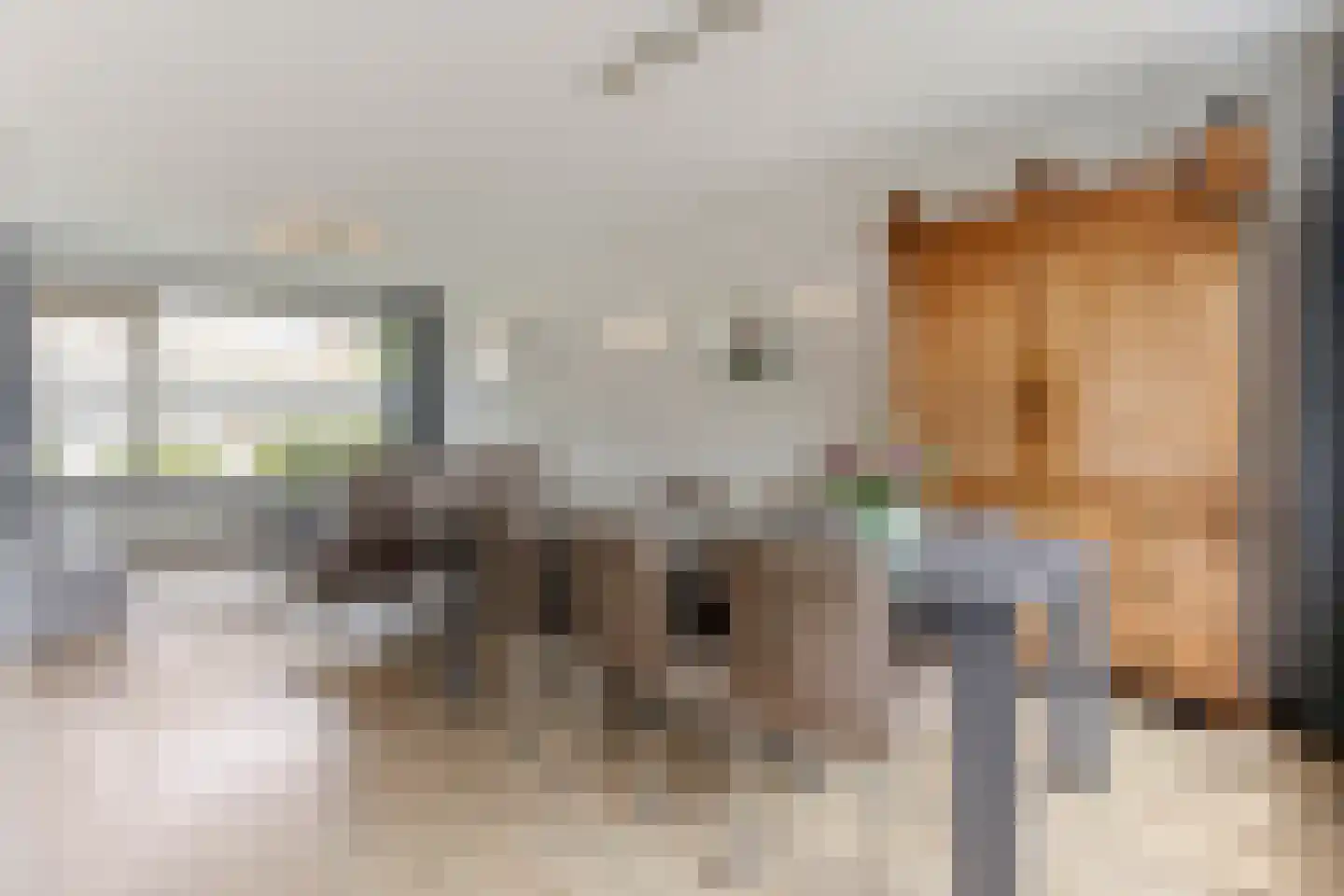 Fazantenveld 89 Cuijk thumbnail 15