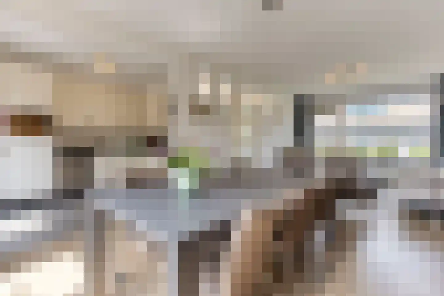 Fazantenveld 89 Cuijk thumbnail 18