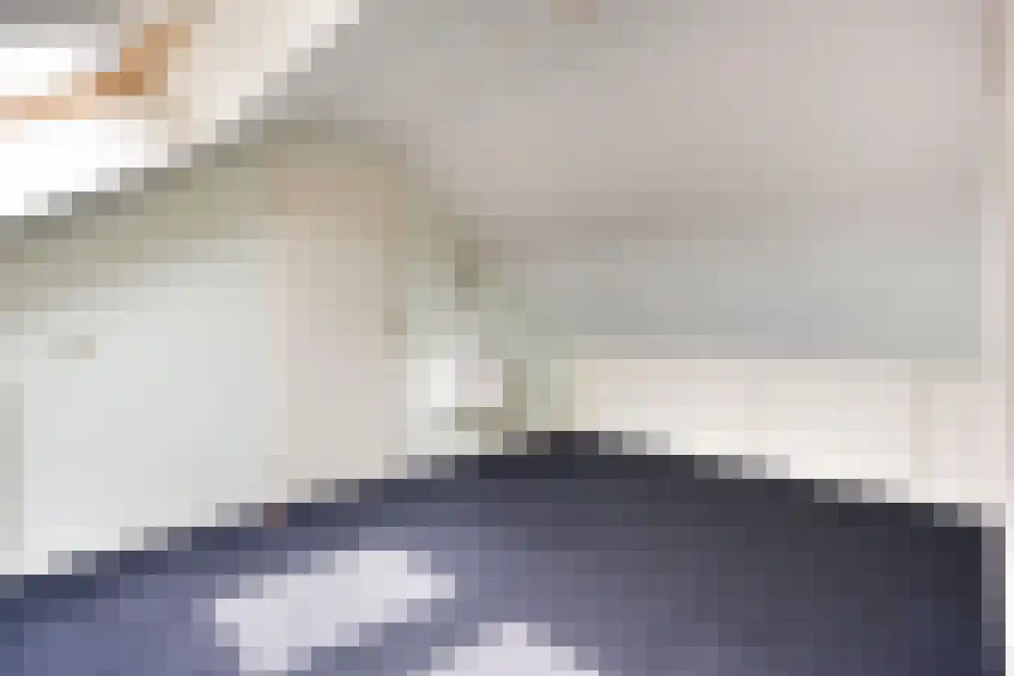 Fazantenveld 89 Cuijk thumbnail 34