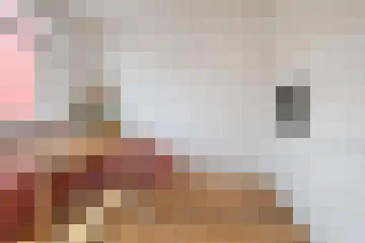 Fazantenweg 13 Amsterdam thumbnail 19