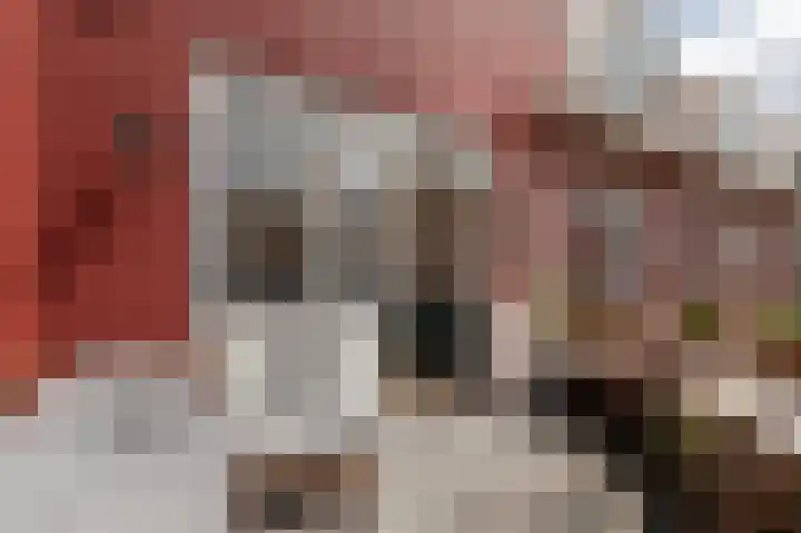 Fazantenweg 13 Amsterdam thumbnail 25