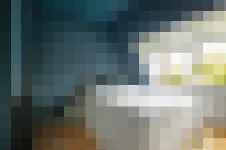 Fazantenweg 13 Amsterdam thumbnail 32