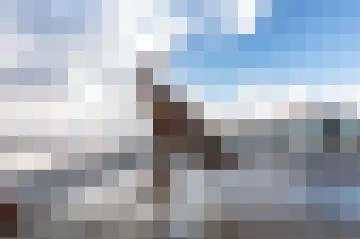 Fazantenweg 13 Amsterdam thumbnail 41