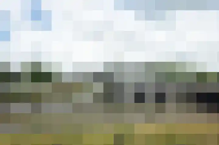 Fazantenweg 13 Amsterdam thumbnail 43