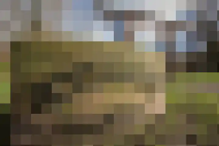 Fazantenweg 13 Amsterdam thumbnail 44
