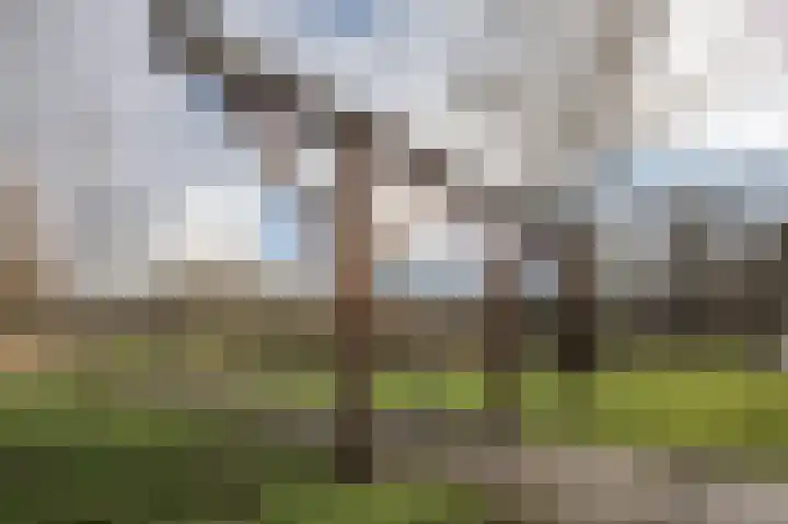 Fazantenweg 13 Amsterdam thumbnail 45