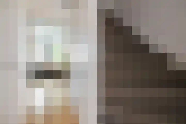 Fazantenweg 13 Amsterdam thumbnail 9