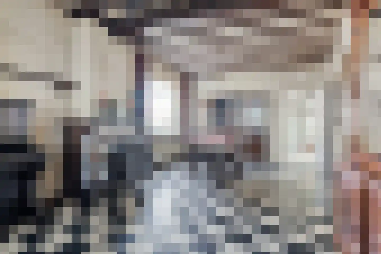 Fazantenweg 16 Dongen thumbnail 17