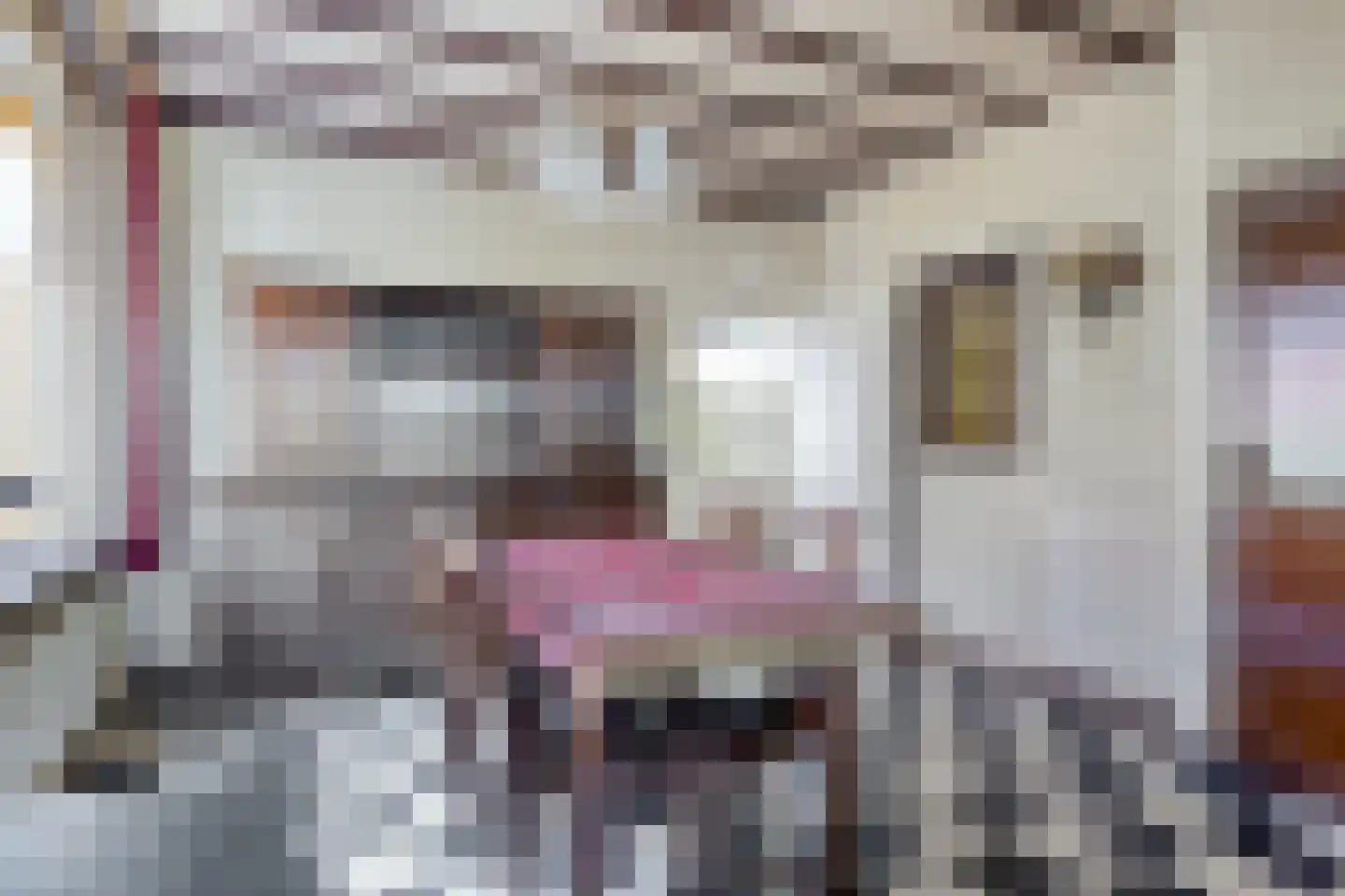 Fazantenweg 16 Dongen thumbnail 18