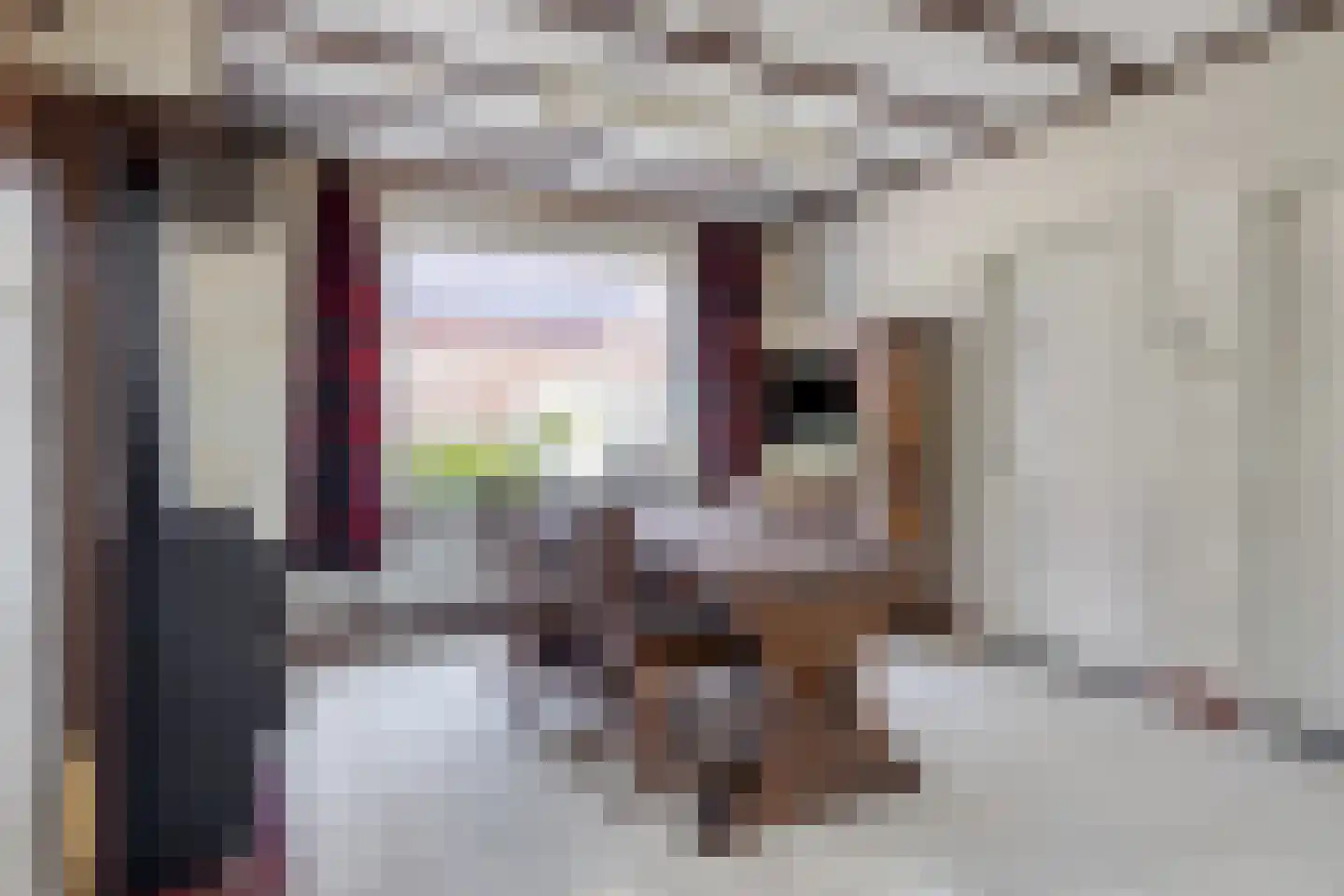 Fazantenweg 16 Dongen thumbnail 19