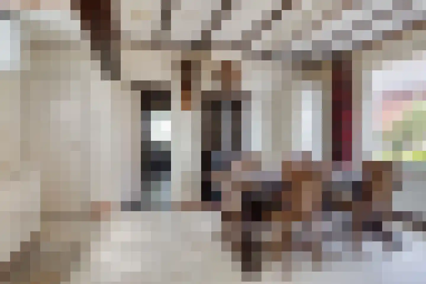 Fazantenweg 16 Dongen thumbnail 20