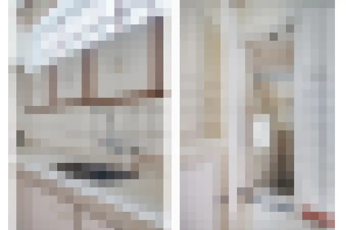 Fazantenweg 16 Dongen thumbnail 22