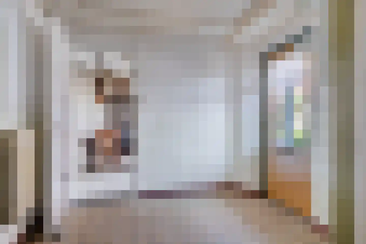 Fazantenweg 16 Dongen thumbnail 25