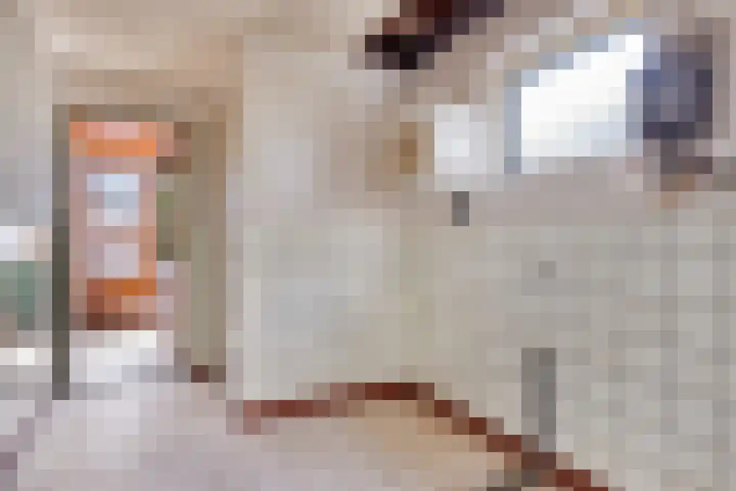 Fazantenweg 16 Dongen thumbnail 27