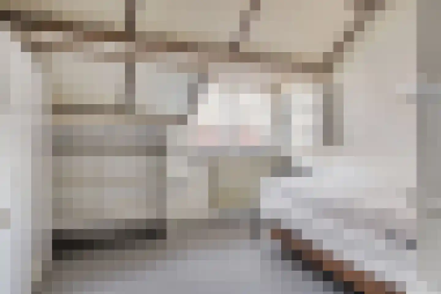 Fazantenweg 16 Dongen thumbnail 35