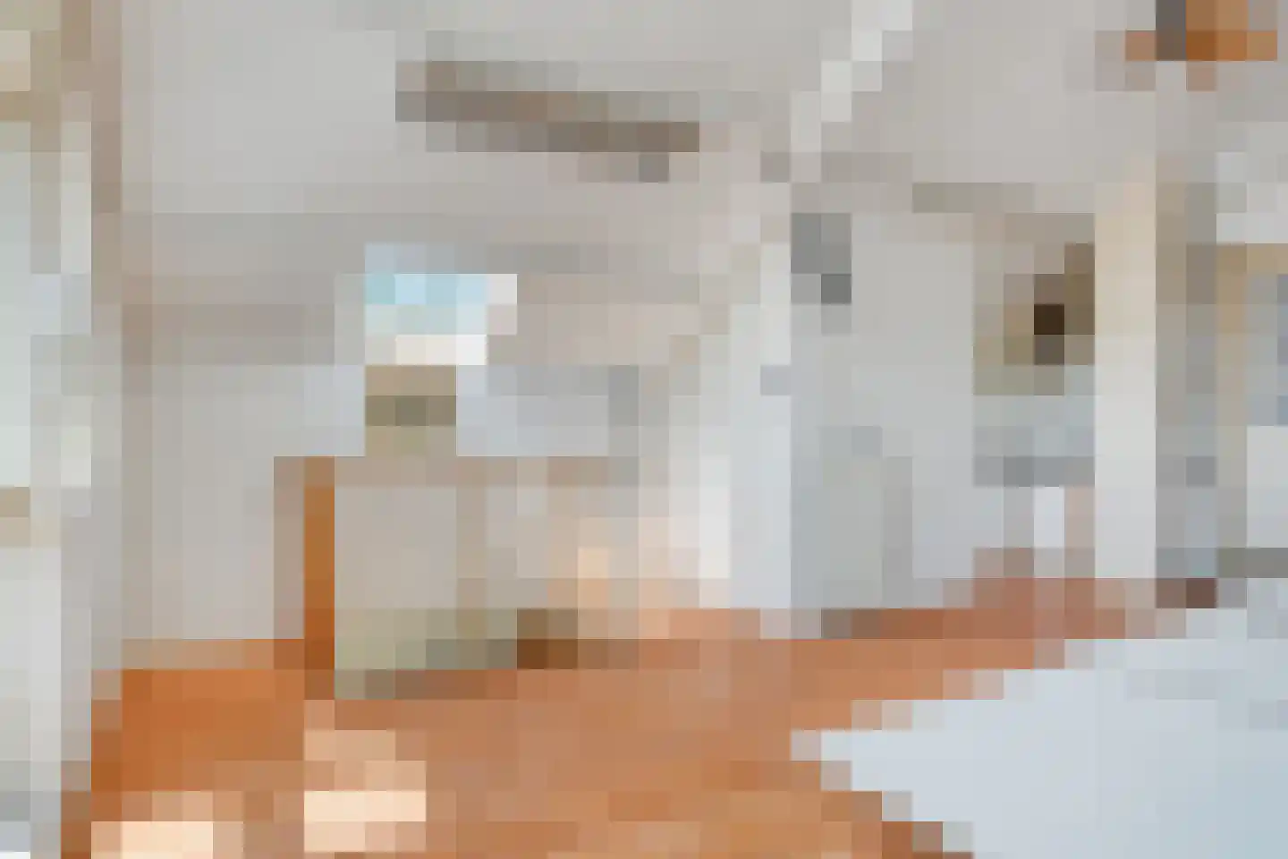 Fazantenweg 16 Dongen thumbnail 44