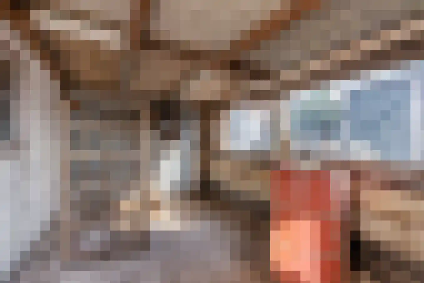 Fazantenweg 16 Dongen thumbnail 59