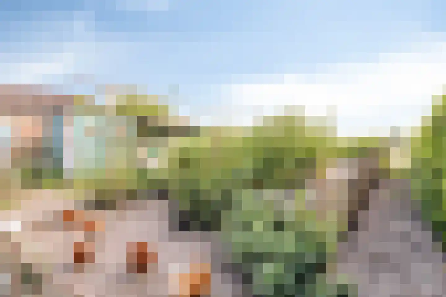 Fazantenweg 16 Dongen thumbnail 62