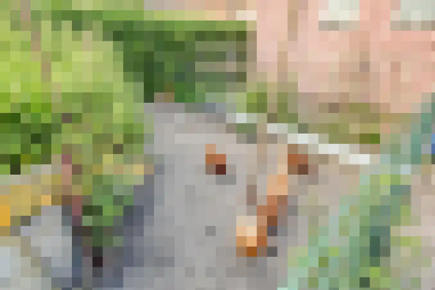 Fazantenweg 16 Dongen thumbnail 63