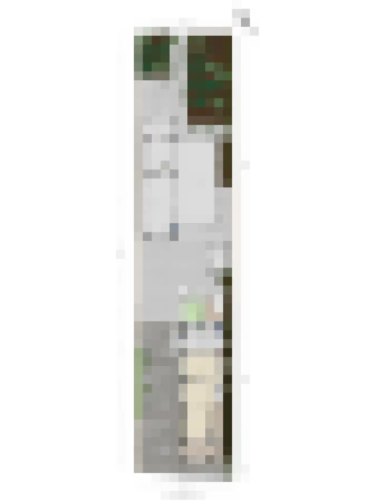 Fazantenweg 16 Dongen thumbnail 67