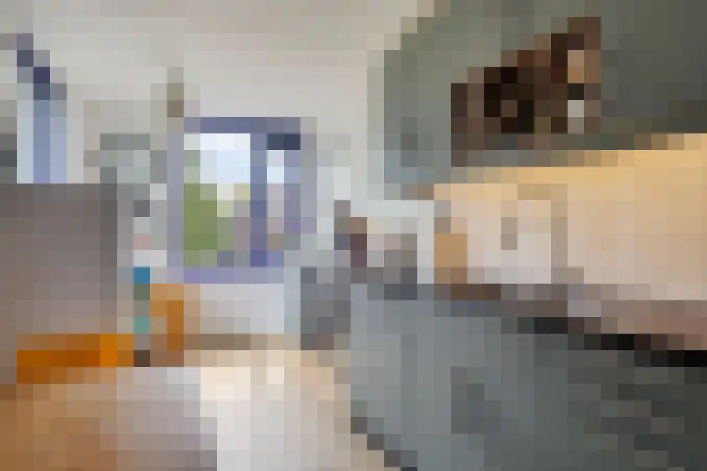 Fazantenweg 3 B Amsterdam thumbnail 11