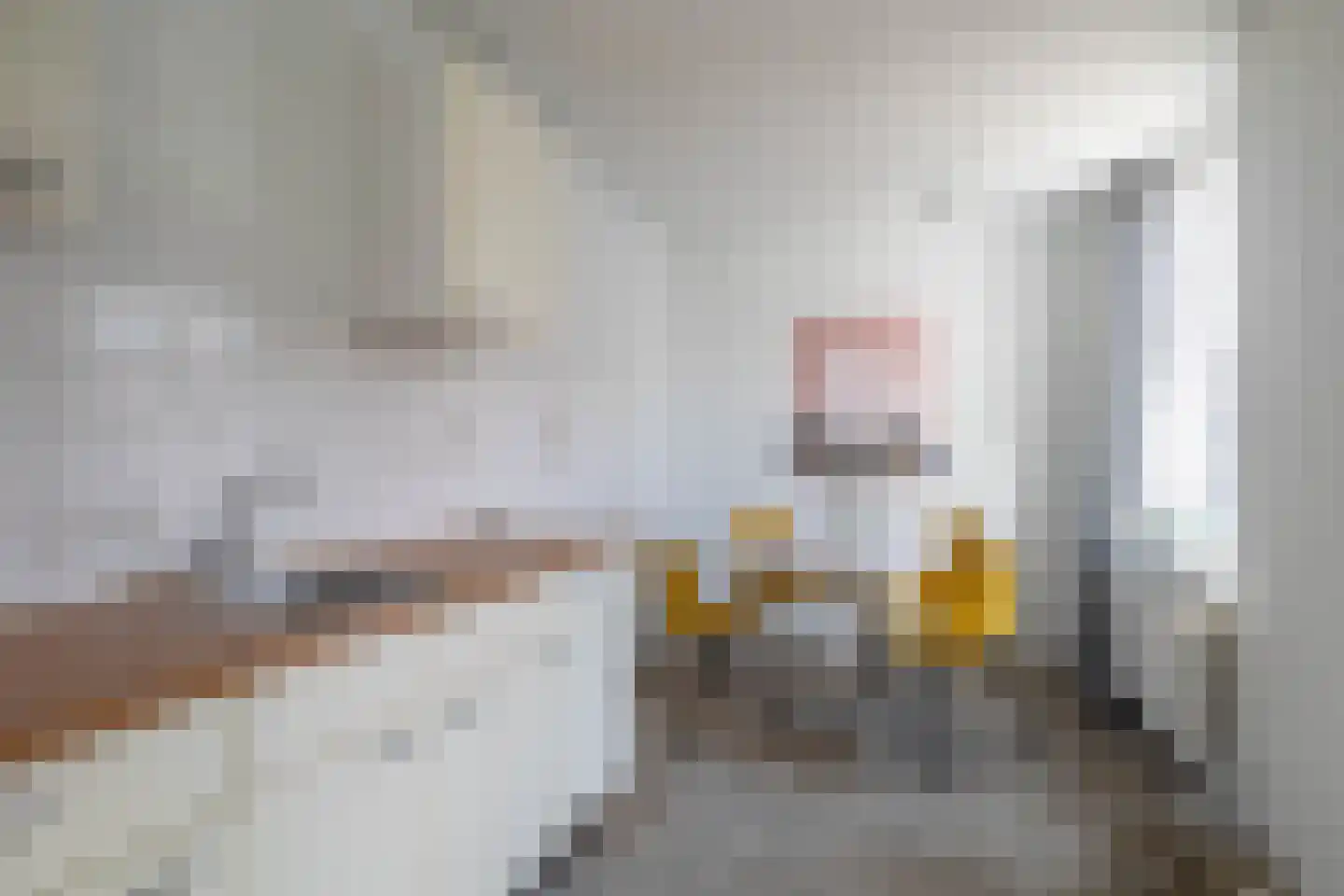 Fazantenweg 3 C Amsterdam thumbnail 6