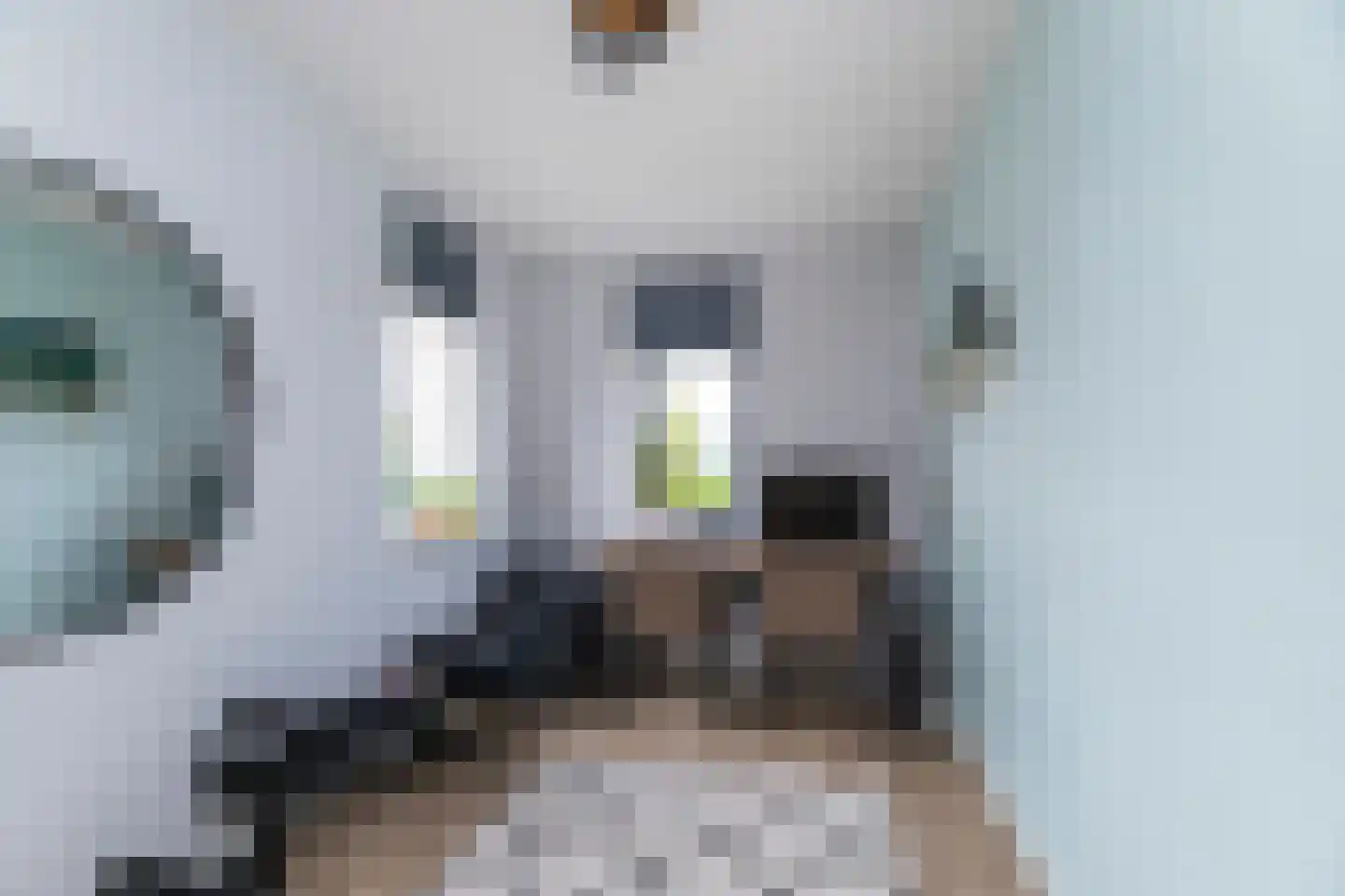 Fazanterie 1 Naaldwijk thumbnail 10
