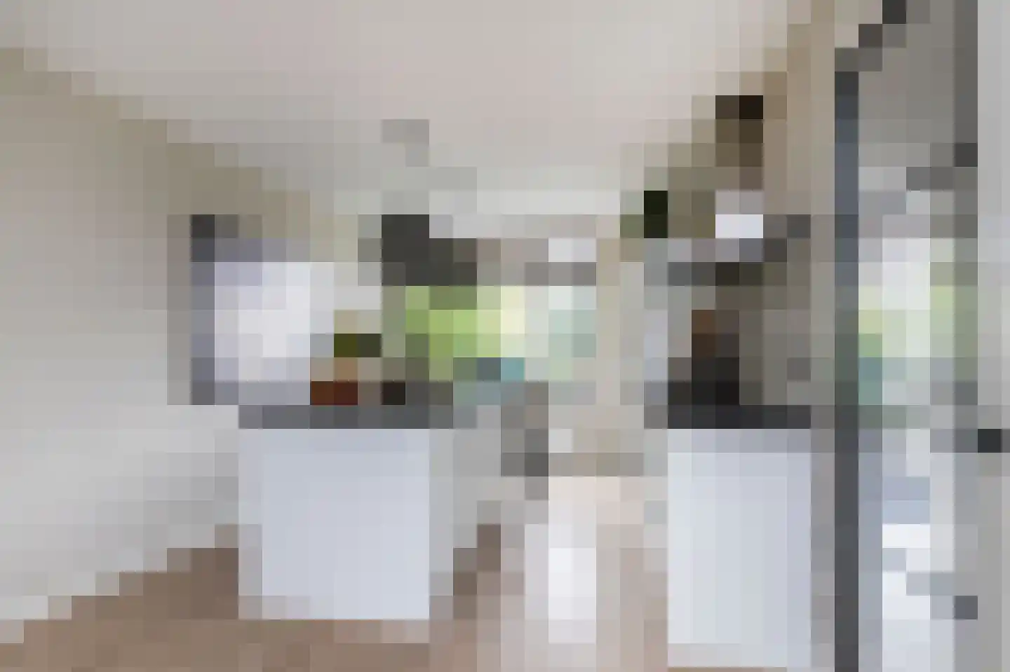 Fazanterie 1 Naaldwijk thumbnail 14