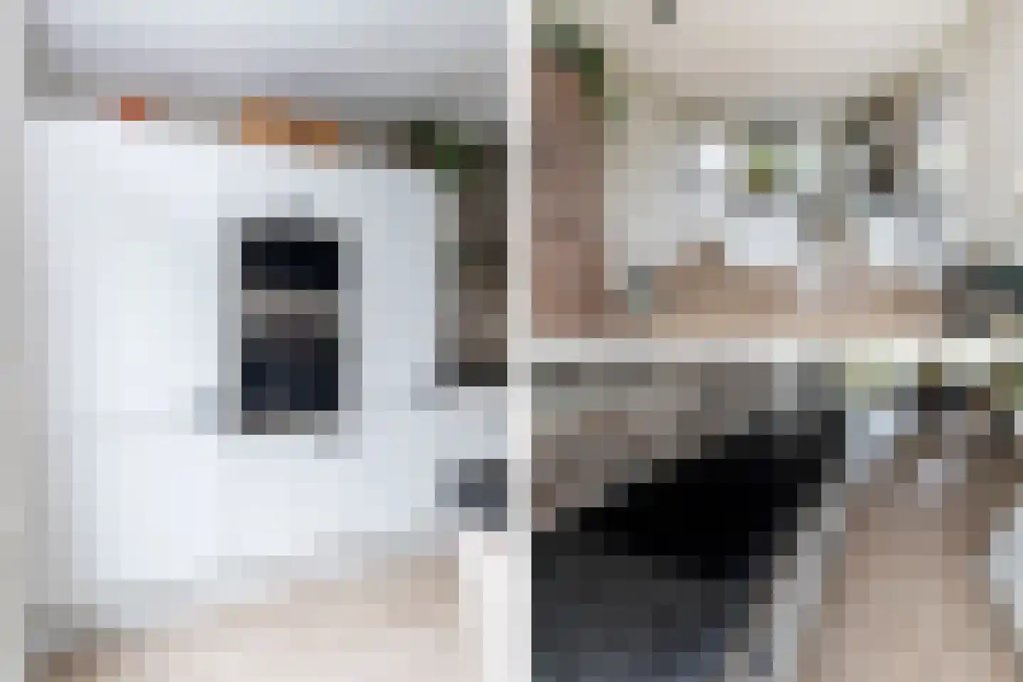 Fazanterie 1 Naaldwijk thumbnail 15
