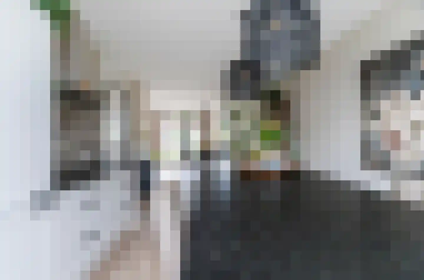 Fazanterie 1 Naaldwijk thumbnail 16