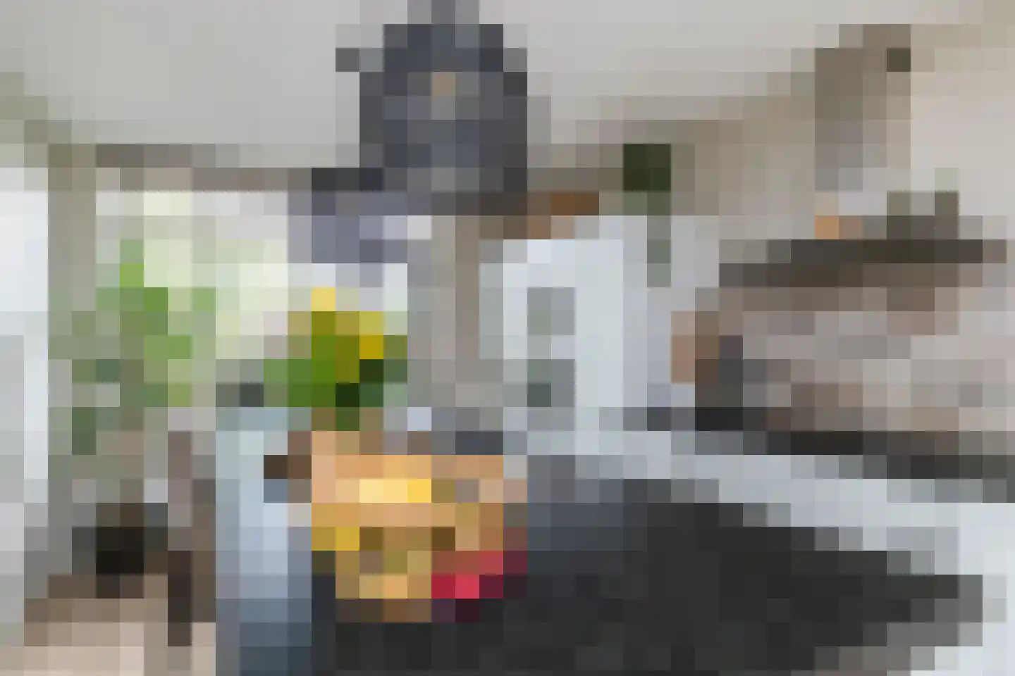 Fazanterie 1 Naaldwijk thumbnail 17