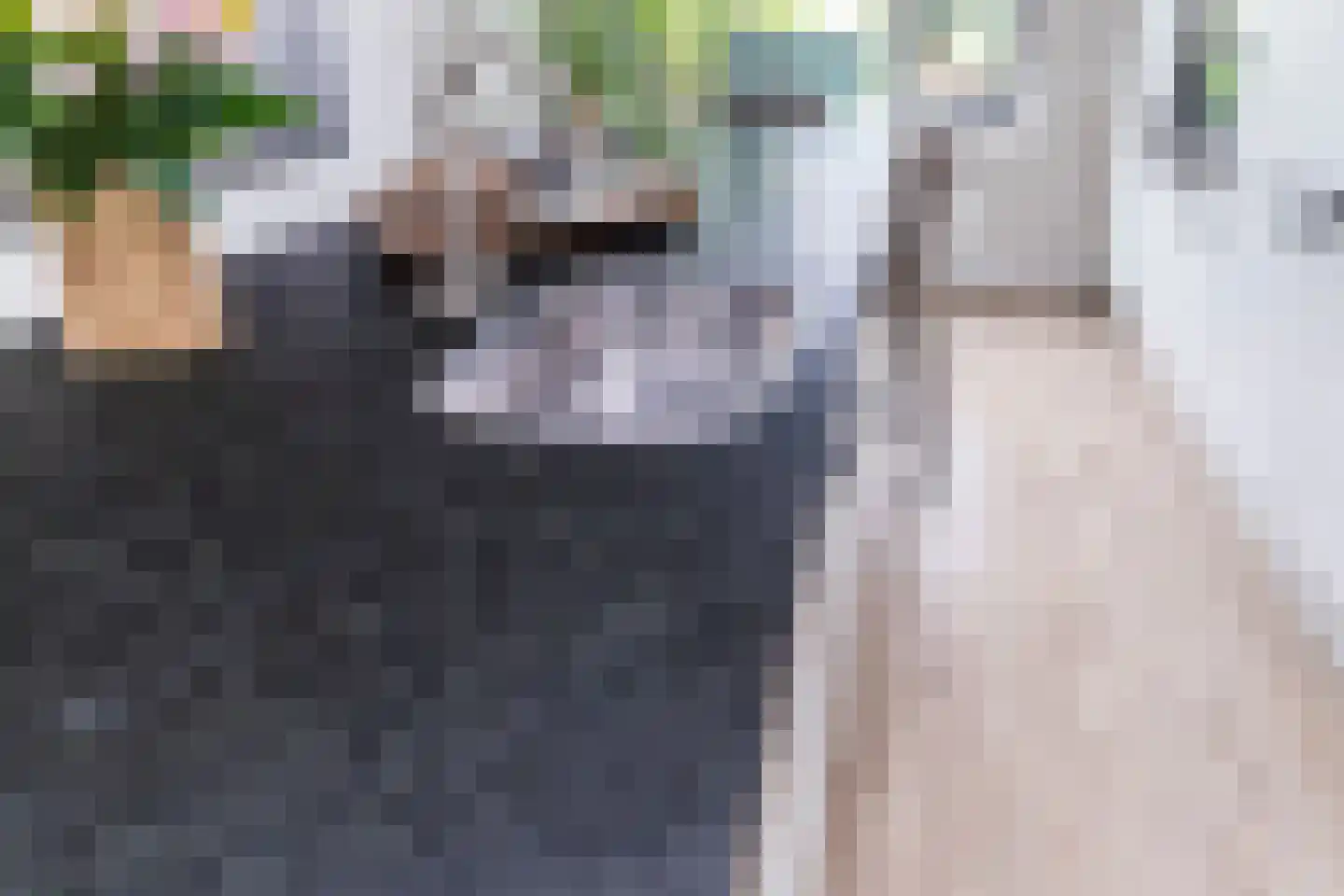Fazanterie 1 Naaldwijk thumbnail 18