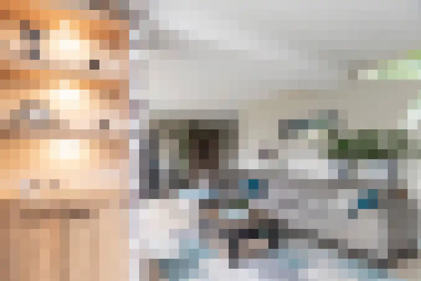Fazanterie 1 Naaldwijk thumbnail 22
