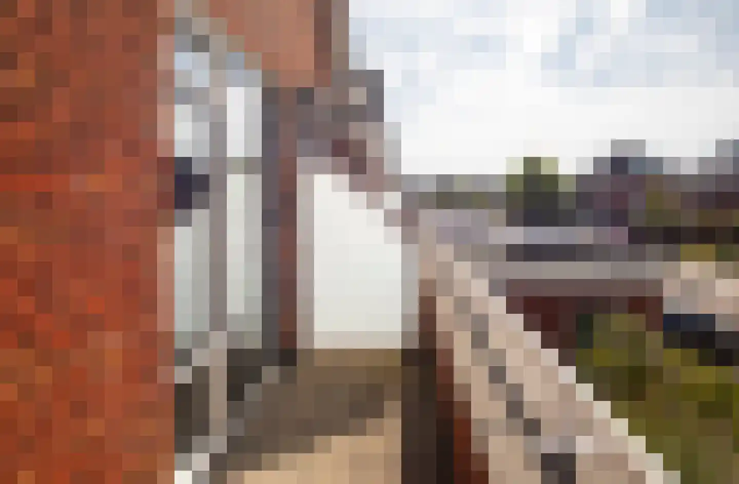 Fazanterie 1 Naaldwijk thumbnail 33