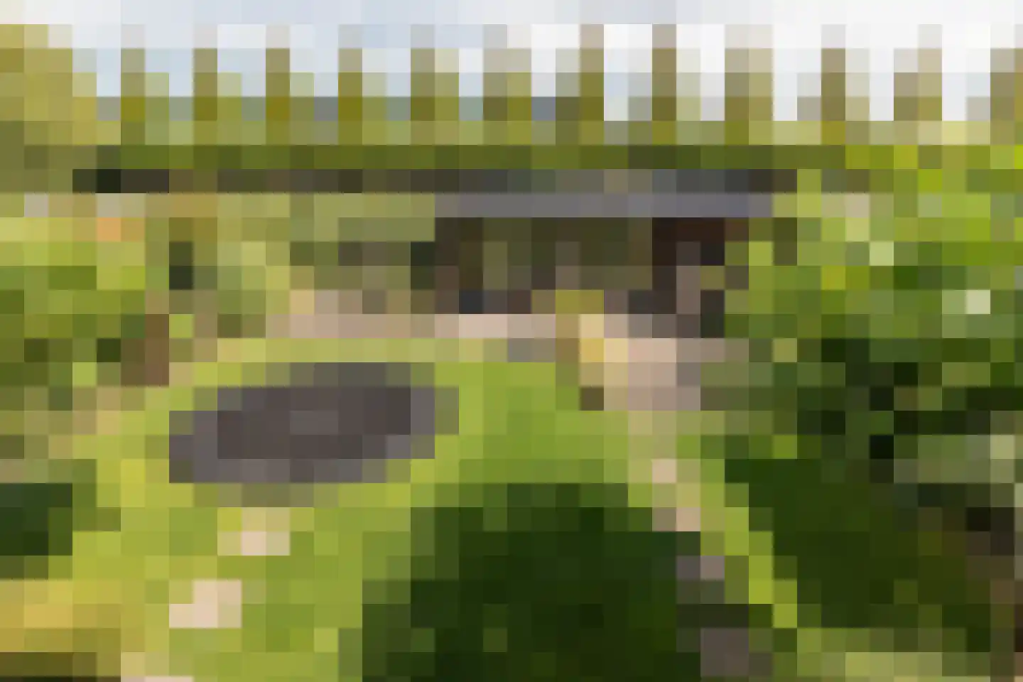 Fazanterie 1 Naaldwijk thumbnail 35