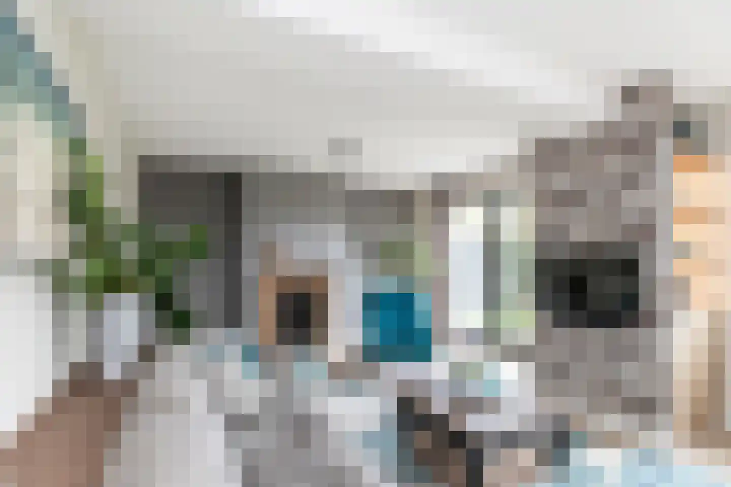 Fazanterie 1 Naaldwijk thumbnail 4