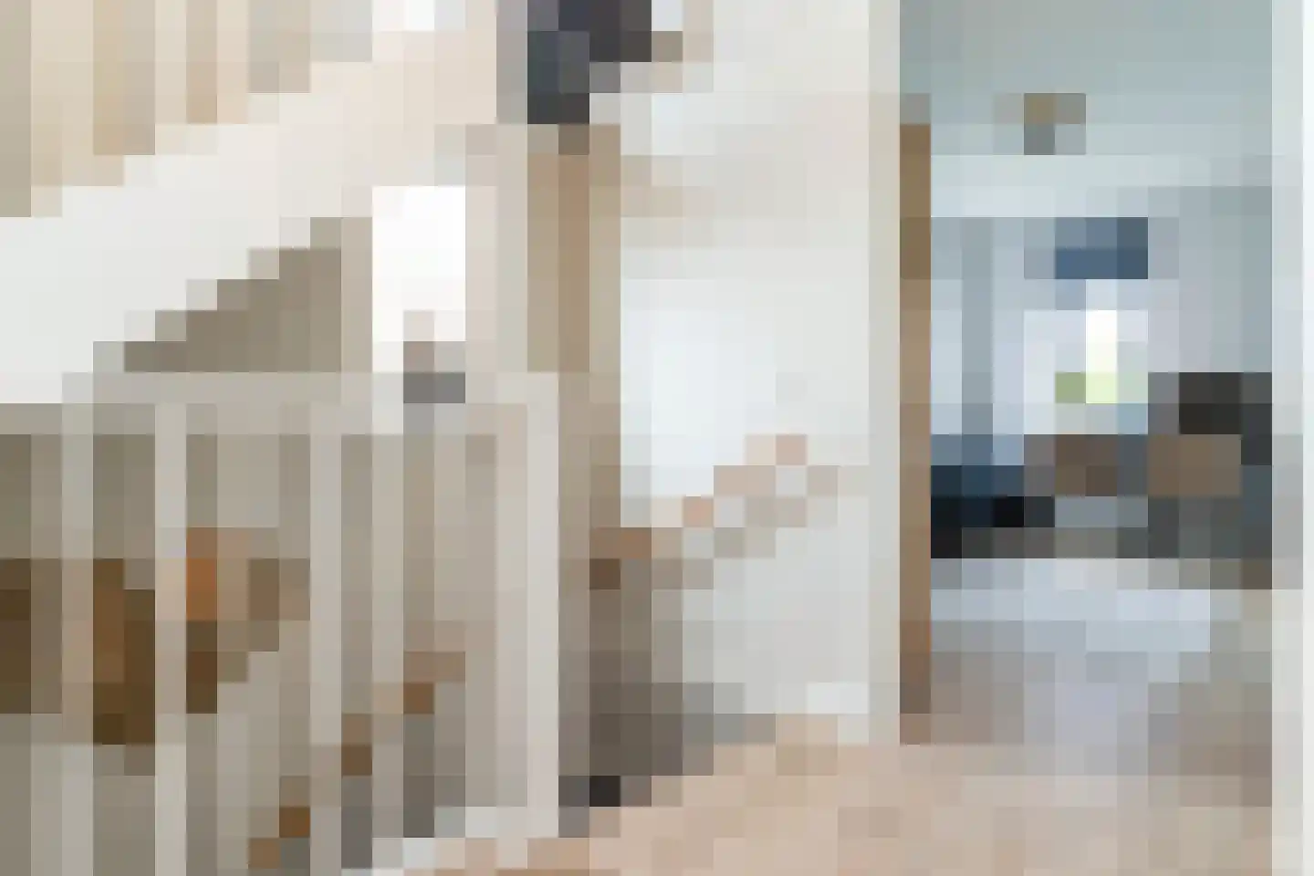 Fazanterie 1 Naaldwijk thumbnail 40