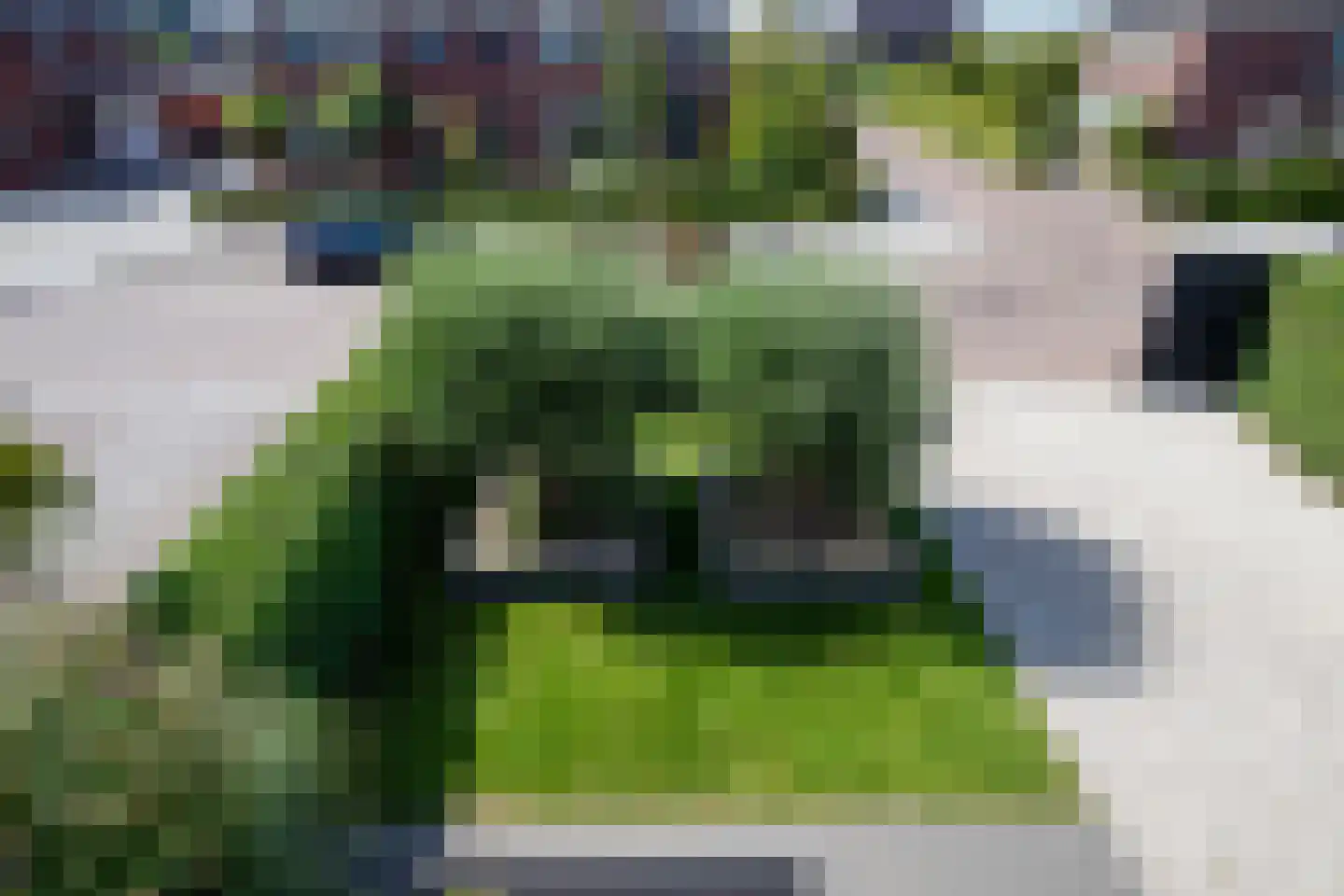 Fazanterie 1 Naaldwijk thumbnail 50
