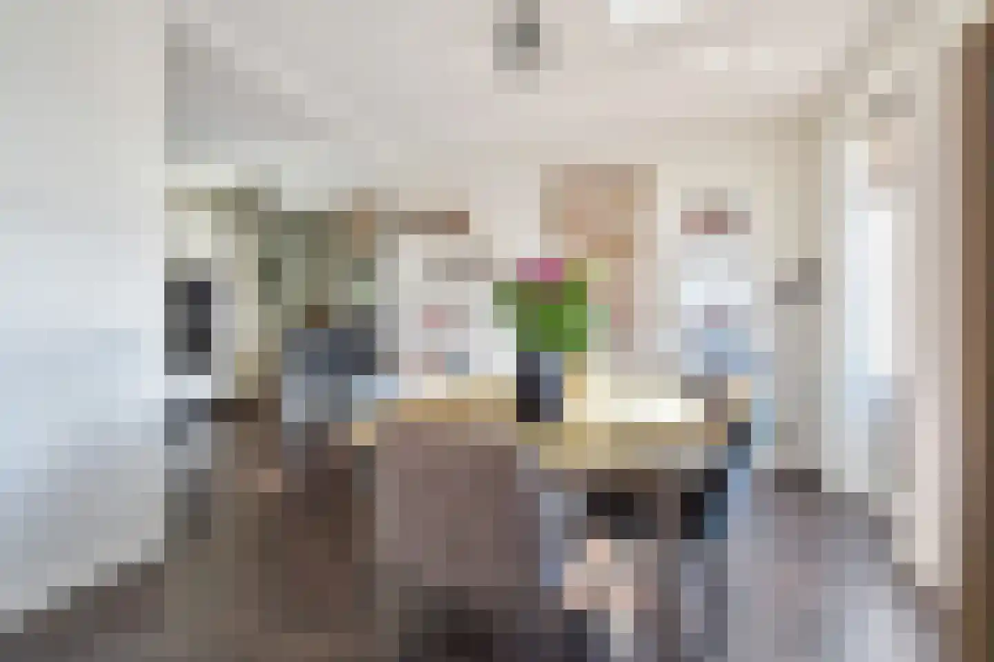 Fazanterie 12 Naaldwijk thumbnail 15