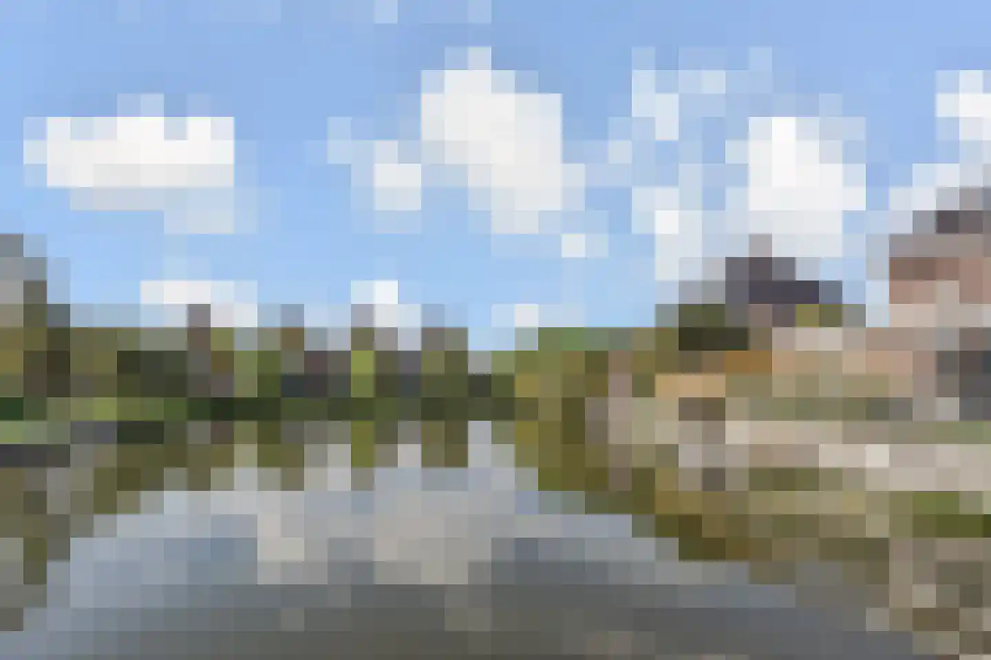Fazanterie 12 Naaldwijk thumbnail 41