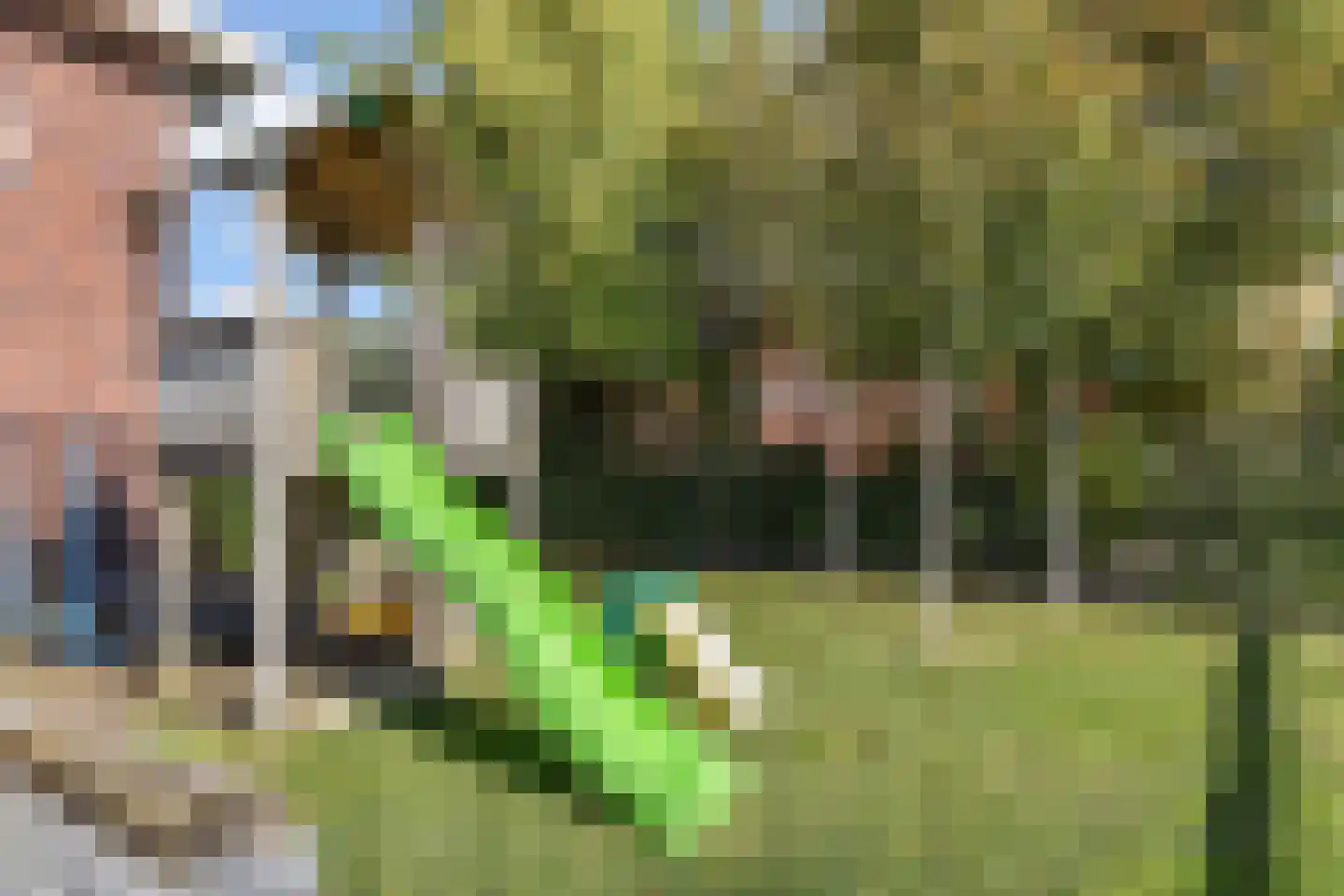 Fazanterie 12 Naaldwijk thumbnail 44