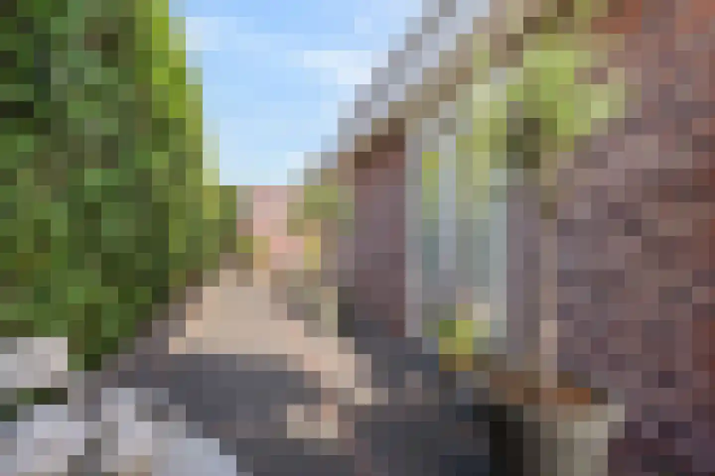 Fazanterie 12 Naaldwijk thumbnail 46