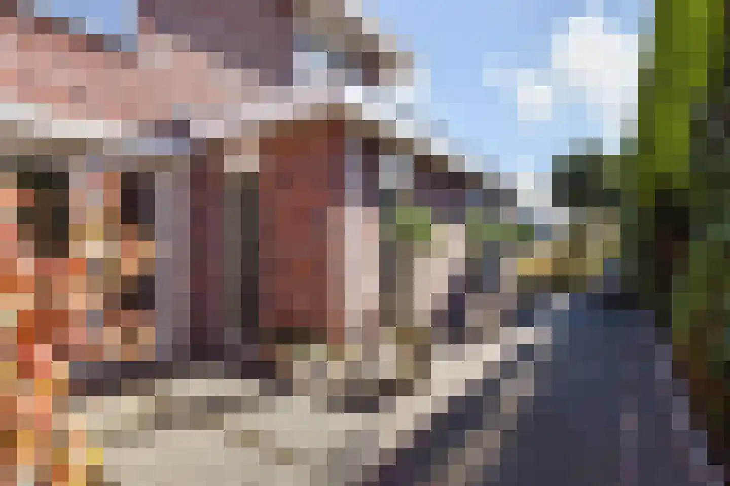 Fazanterie 12 Naaldwijk thumbnail 47